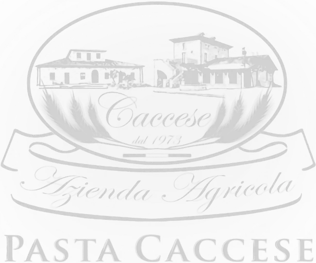 Logo de la marque Pasta Caccese sur fond transparent